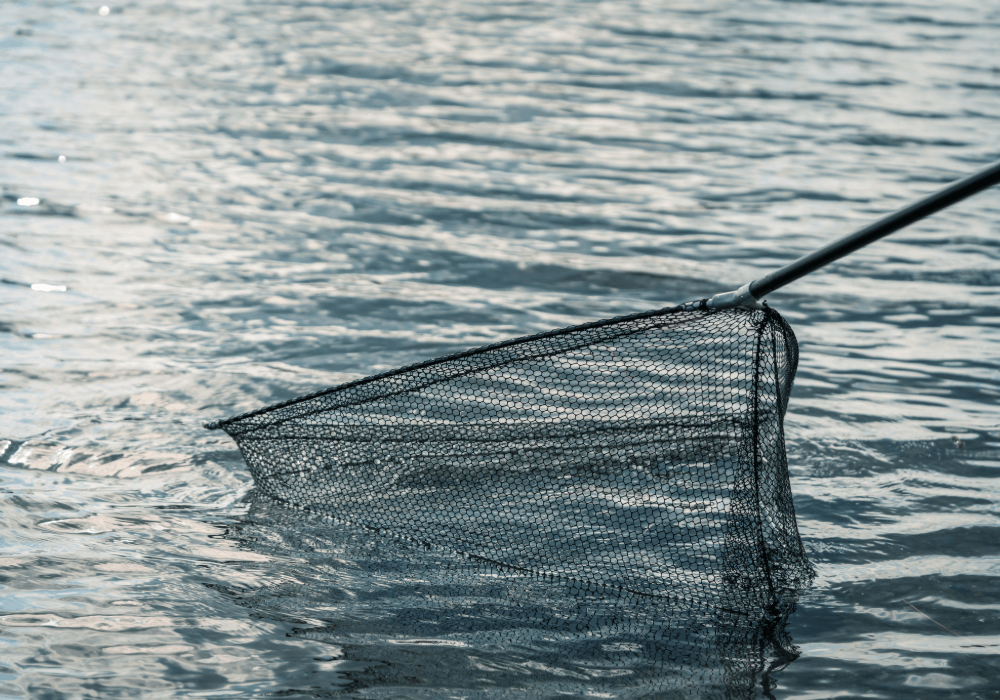 une épuisette pour un float tube de pêche