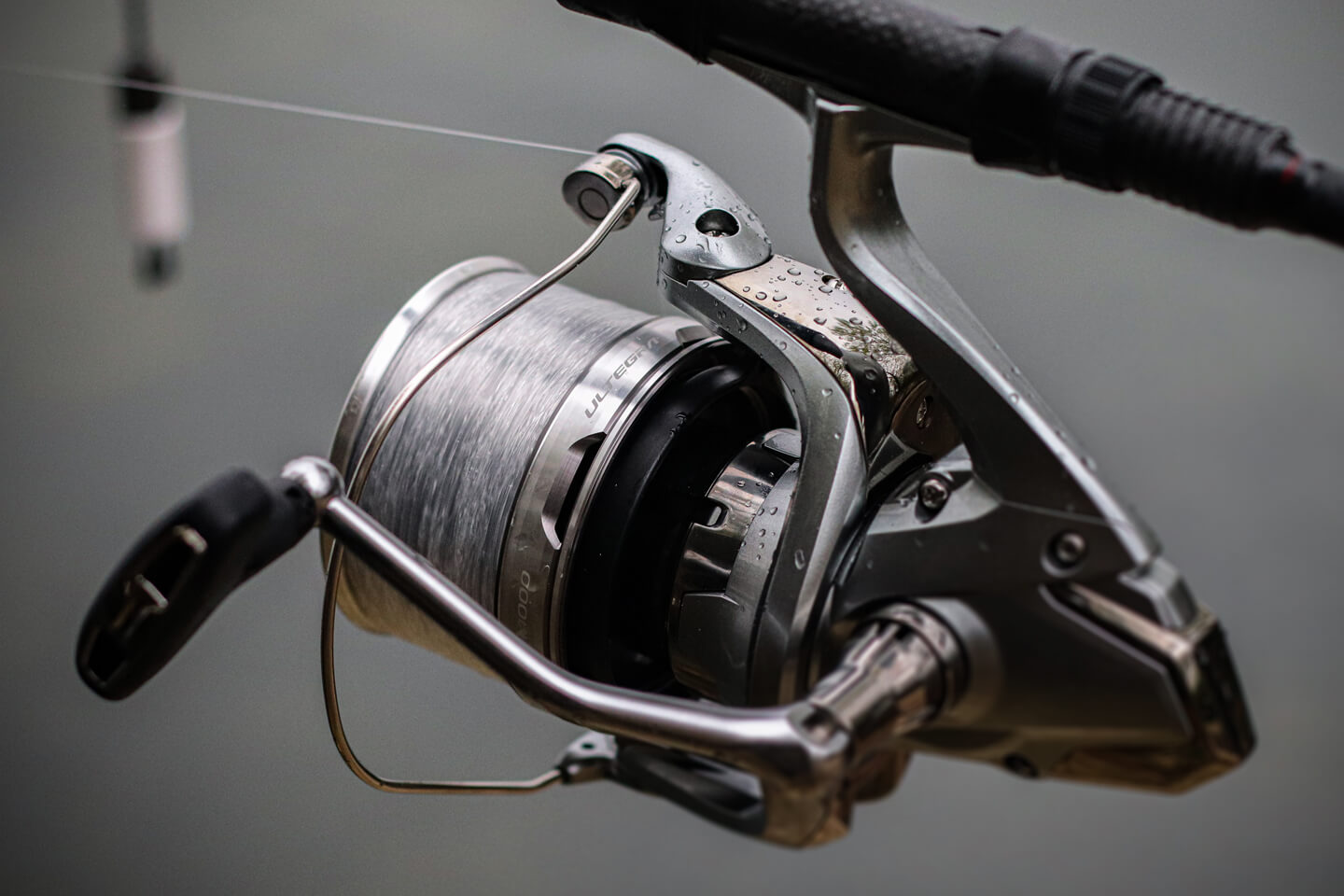 Which Shimano reel is right for bass fishing? - Leurre de la pêche