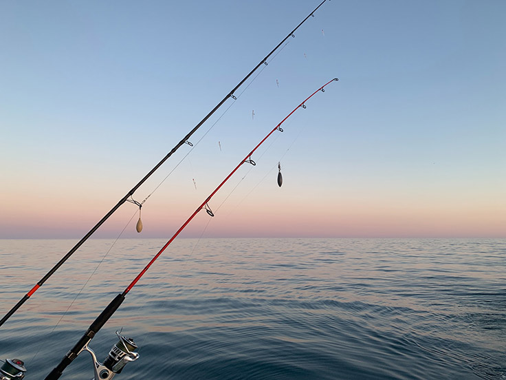 How do I maintain my sea fishing rod? - Leurre de la pêche