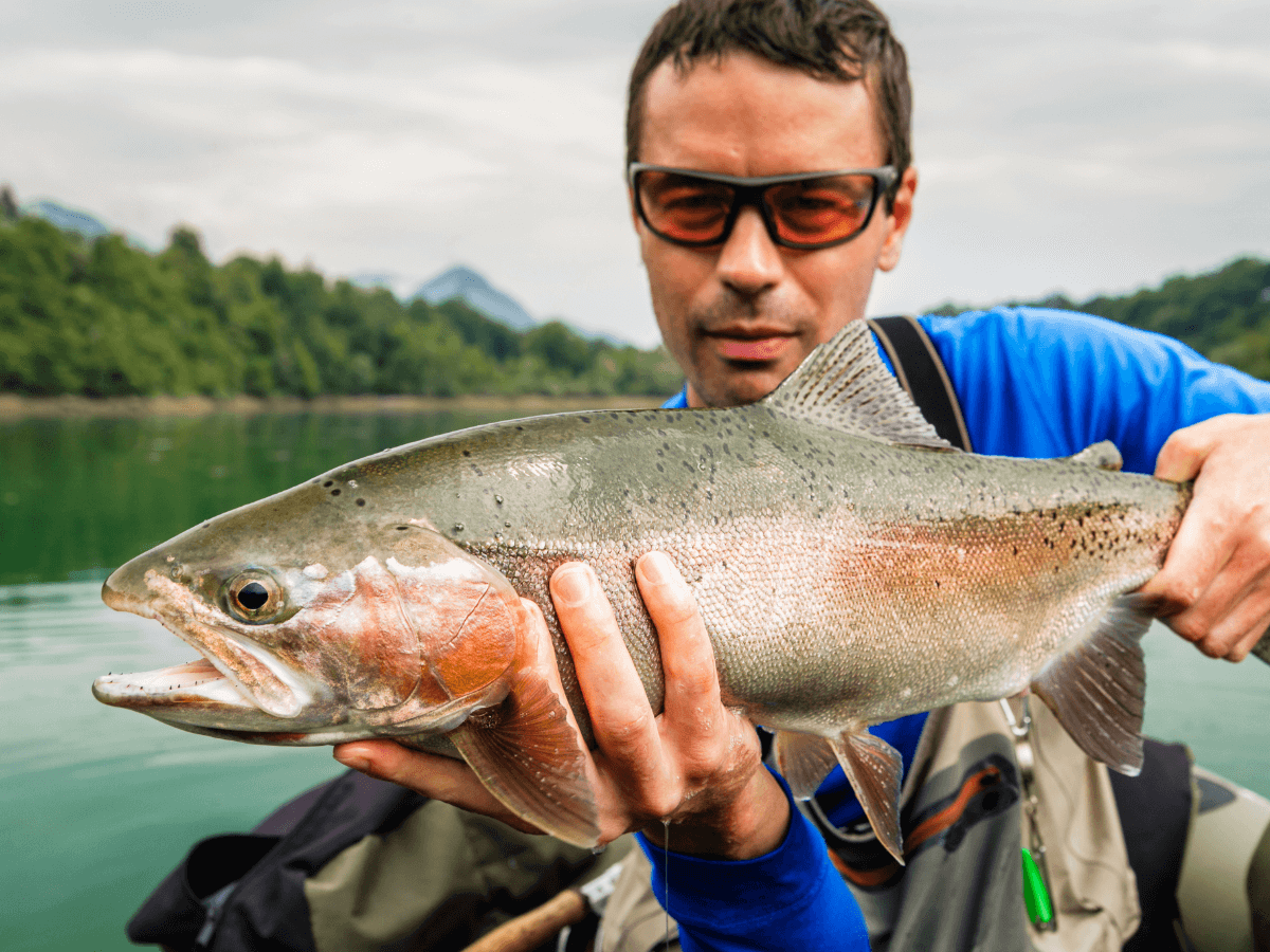 How to choose polarised glasses for fishing? - Leurre de la pêche