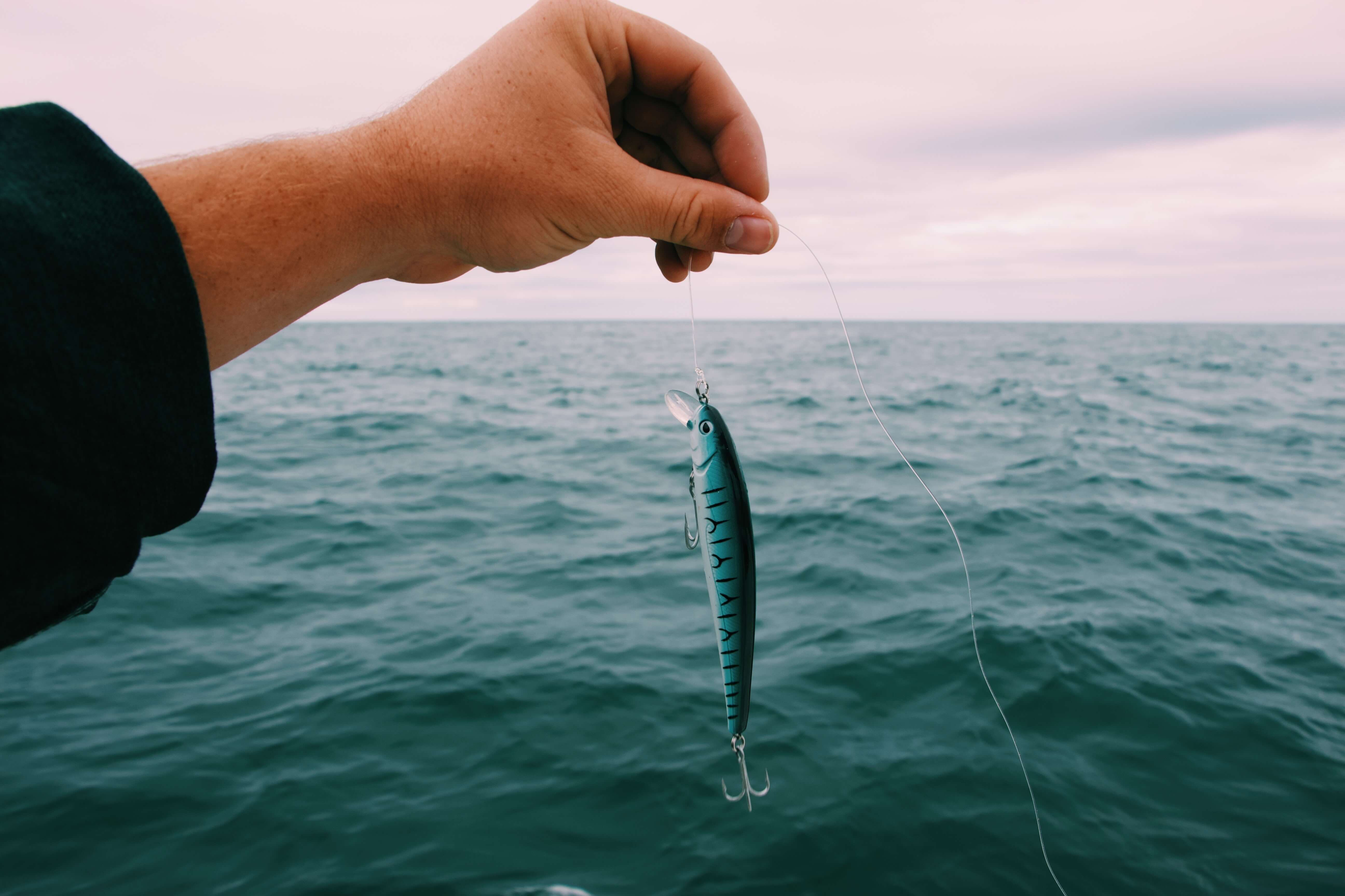 Qué diámetro de sedal debo utilizar para pescar en el mar? - Leurre de la  pêche