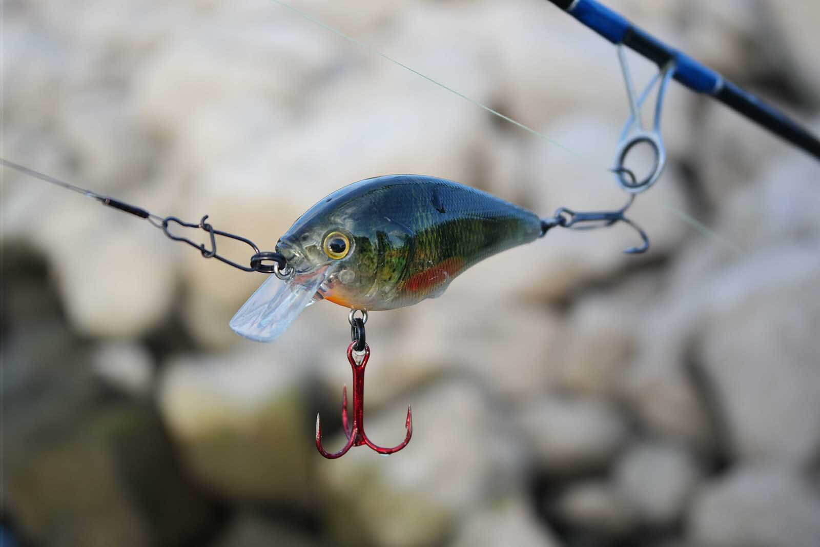 What are the best baits for river fishing? - Leurre de la pêche