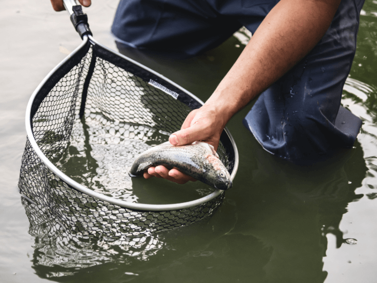 How to store your landing net on a fishing kayak 