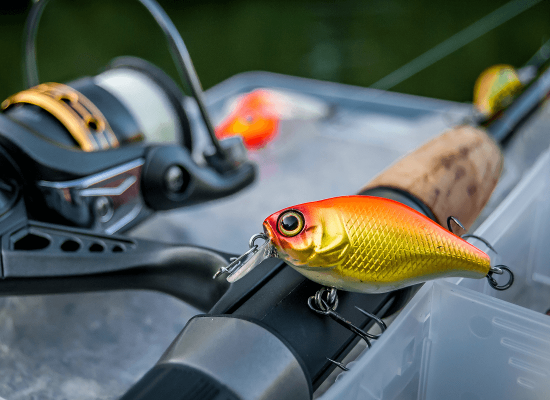 le top 10 des meilleurs poissons nageurs pour la pêche